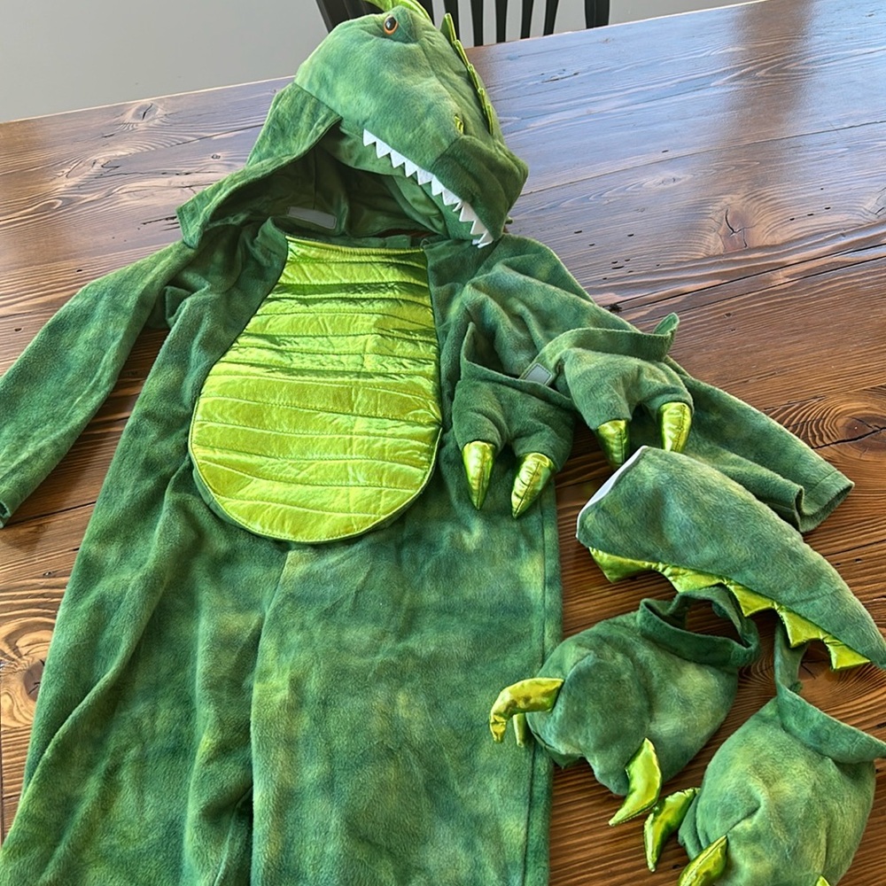 Dinosaur Costume